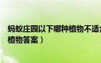 蚂蚁庄园以下哪种植物不适合摆在卧室（蚂蚁庄园以下哪种植物答案）