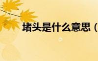 堵头是什么意思（堵头是什么意思）