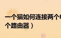 一个猫如何连接两个电视（一个猫如何连接两个路由器）