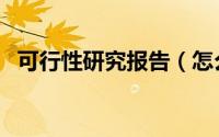 可行性研究报告（怎么写可行性研究报告）