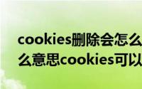 cookies删除会怎么样（cookies在哪?是什么意思cookies可以删除吗）