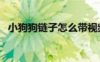 小狗狗链子怎么带视频（小狗狗链怎么带）