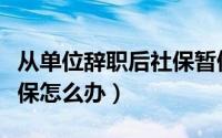 从单位辞职后社保暂停缴费（从单位辞职后社保怎么办）