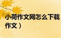 小荷作文网怎么下载（如何在小荷作文网上写作文）