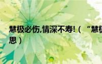 慧极必伤,情深不寿!（“慧极必伤情深不寿”这句话什么意思）