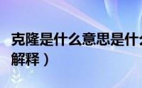 克隆是什么意思是什么意思（克隆的意思怎么解释）