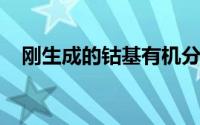 刚生成的钴基有机分子专门用于吸收氧气
