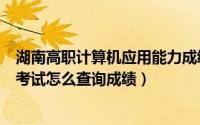 湖南高职计算机应用能力成绩查询（湖南省计算机应用能力考试怎么查询成绩）