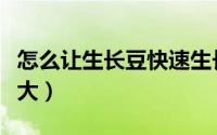 怎么让生长豆快速生长（生长豆怎么养最快长大）