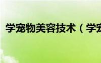 学宠物美容技术（学宠物美容技术很难吗?）