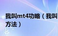 我叫mt4功略（我叫MT4.0 那路的祝福 使用方法）