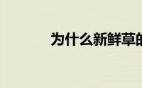 为什么新鲜草的气味如此美味