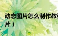 动态图片怎么制作教程（如何在线制作动态图片）