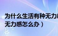 为什么生活有种无力感（一个人对生活充满了无力感怎么办）