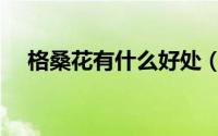 格桑花有什么好处（格桑花有什么寓意）