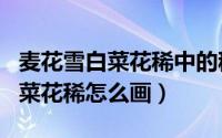 麦花雪白菜花稀中的稀是什么意思（麦花雪白菜花稀怎么画）