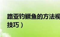 路亚钓鳜鱼的方法视频（路亚钓鳜鱼的方法,技巧）