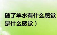 破了羊水有什么感觉（过来人告诉你羊水破了是什么感觉）