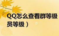 QQ怎么查看群等级（怎么查看QQ群的群成员等级）