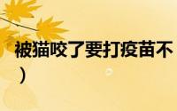 被猫咬了要打疫苗不（被被猫咬了要打疫苗吗）