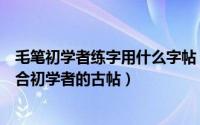 毛笔初学者练字用什么字帖（练字如何选择毛笔书法字帖适合初学者的古帖）