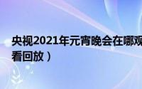 央视2021年元宵晚会在哪观看（2021年央视元宵晚会怎么看回放）