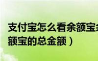 支付宝怎么看余额宝余额（支付宝怎么查看余额宝的总金额）
