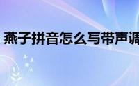 燕子拼音怎么写带声调（燕子拼音怎么拼写）
