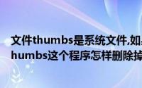 文件thumbs是系统文件,如果将其删除（电脑文件夹出现 Thumbs这个程序怎样删除掉）