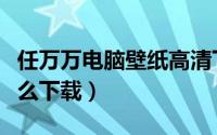 任万万电脑壁纸高清下载（任万万电脑壁纸怎么下载）