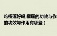吃榴莲好吗,榴莲的功效与作用有哪些禁忌（吃榴莲好吗榴莲的功效与作用有哪些）