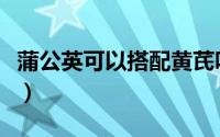 蒲公英可以搭配黄芪吗（蒲公英可以搭配什么）