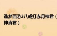 造梦西游3八戒打赤月神君（用八戒怎么打造梦西游3的二郎神真君）