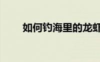 如何钓海里的龙虾（如何钓海鲈鱼）
