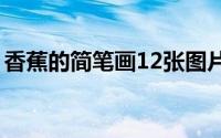 香蕉的简笔画12张图片（香蕉的简笔画教程）