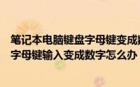 笔记本电脑键盘字母键变成数字了怎么办呢（笔记本电脑按字母键输入变成数字怎么办）