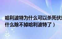 哈利波特为什么可以杀死伏地魔（多年后终于知道伏地魔为什么除不掉哈利波特了）