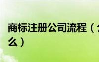 商标注册公司流程（公司申请商标的流程是什么）