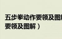 五步拳动作要领及图解体育教材（五步拳动作要领及图解）
