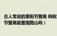 古人常说的重阳节登高 蚂蚁庄园（蚂蚁庄园古人常说的重阳节登高就是指爬山吗）