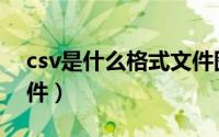 csv是什么格式文件图片（csv是什么格式文件）