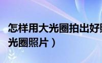 怎样用大光圈拍出好照片（如何用相机拍摄大光圈照片）