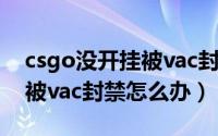 csgo没开挂被vac封禁怎么办（csgo没开挂被vac封禁怎么办）