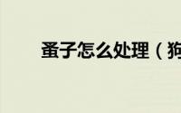 蚤子怎么处理（狗蚤子怎样去根源）