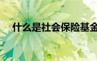 什么是社会保险基金（什么是社会保险）