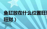 鱼缸放在什么位置旺财（鱼缸放在什么位置最旺财）