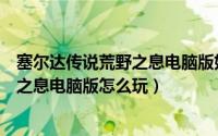 塞尔达传说荒野之息电脑版如何摇晃手柄（塞尔达传说荒野之息电脑版怎么玩）