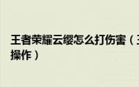王者荣耀云缨怎么打伤害（王者荣耀云缨英雄使用喷漆如何操作）