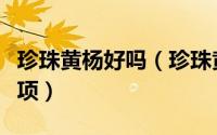 珍珠黄杨好吗（珍珠黄杨的养殖方法和注意事项）