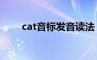 cat音标发音读法（cat音标怎么发）